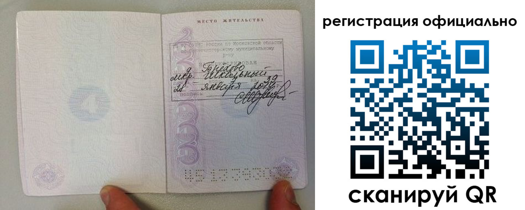 прописка штамп в Павловске
